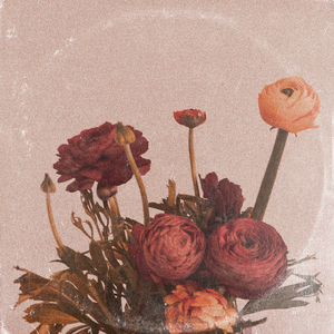 新版洞房奇谭2电影在线观看
